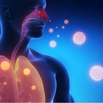 16 ноября – мастер-класс “Организация противоэпидемических мероприятий при инфекционно-воспалительных процессах дыхательных путей”