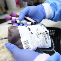 29 октября МАСТЕР-КЛАСС  “Действия медицинской сестры при проведении гемотрансфузии и первичном определении группы крови по системе АВО”