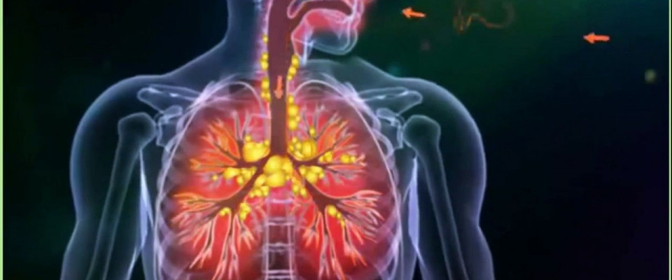 30 марта – НПК «Современная медицина: новые подходы к профилактике и лечению туберкулезной инфекции»