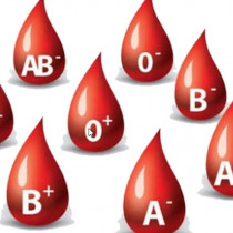 29 октября – МАСТЕР-КЛАСС «Действия медицинской сестры при проведении гемотрансфузии и первичном определении группы крови по системе АВО»