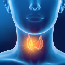 25 ОКТЯБРЯ – Онлайн-семинар «Современные подходы к лабораторной диагностике заболеваний щитовидной железы»