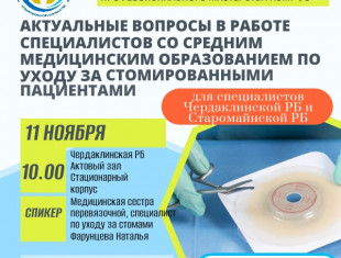 В Ульяновской области прошла «Выездная школа профессионального мастерства Ассоциации средних медицинских работников Ульяновской области»