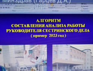 Видеоконференцсвязь (ВКС) для руководителей сестринского и акушерского дела  Министерства здравоохранения ДНР